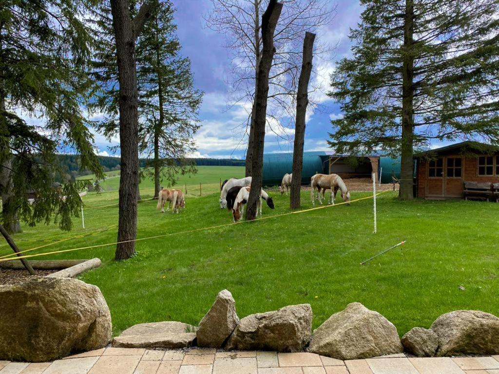 Naturstammhaus Und Appartements Zum Brockenbaecker Tanne Εξωτερικό φωτογραφία